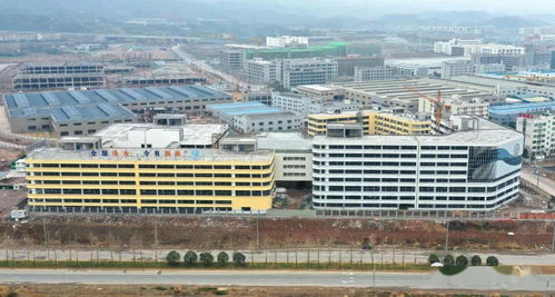 溫州市第一批 最美工廠 潤新公司之環境美